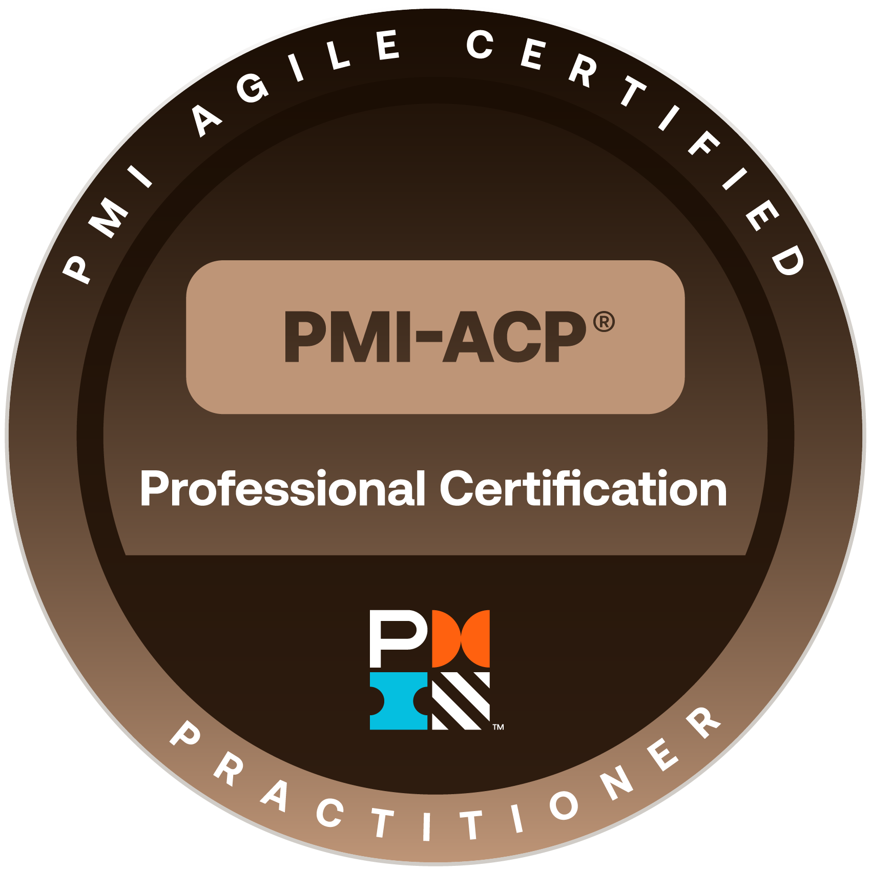 PMI Logo