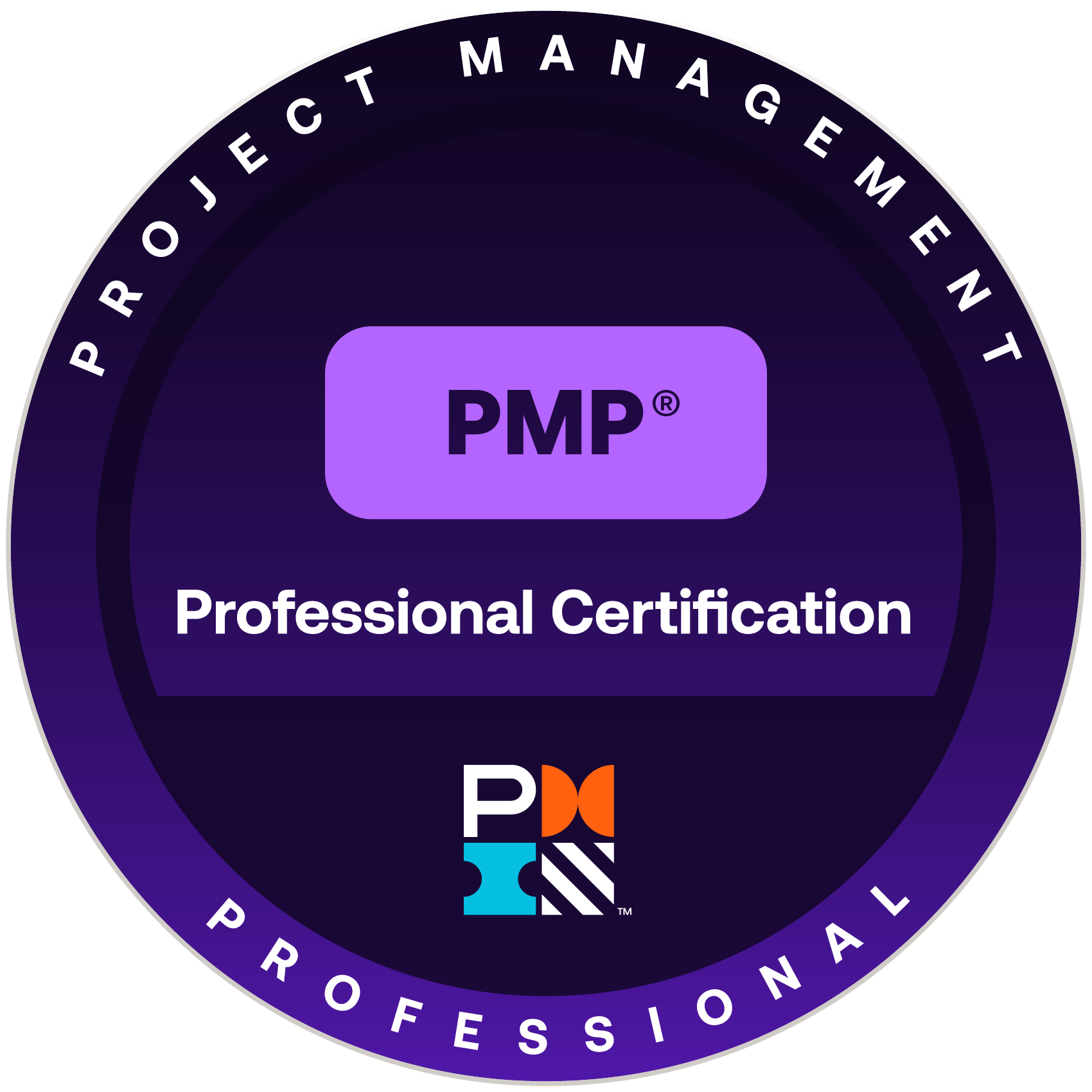 PMI Logo